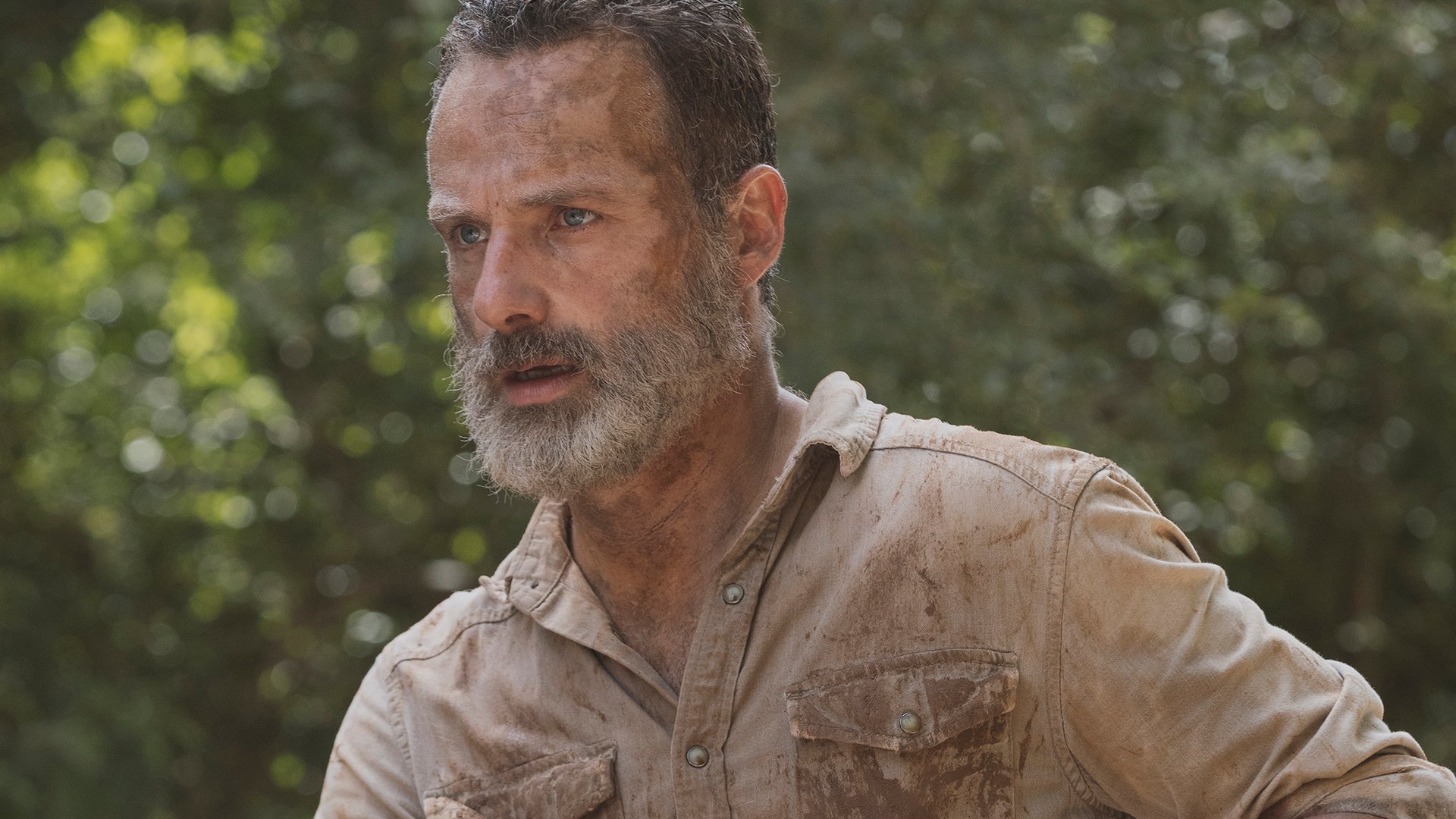 Andrew Lincoln, The Walking Dead