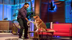 Animal Nation with Anthony Anderson, Season 1 Episode 1 image