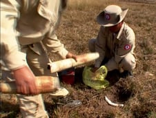 Anthony Bourdain: No Reservations, Season 4 Episode 11 image