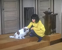 That Girl, Season 3 Episode 21 image