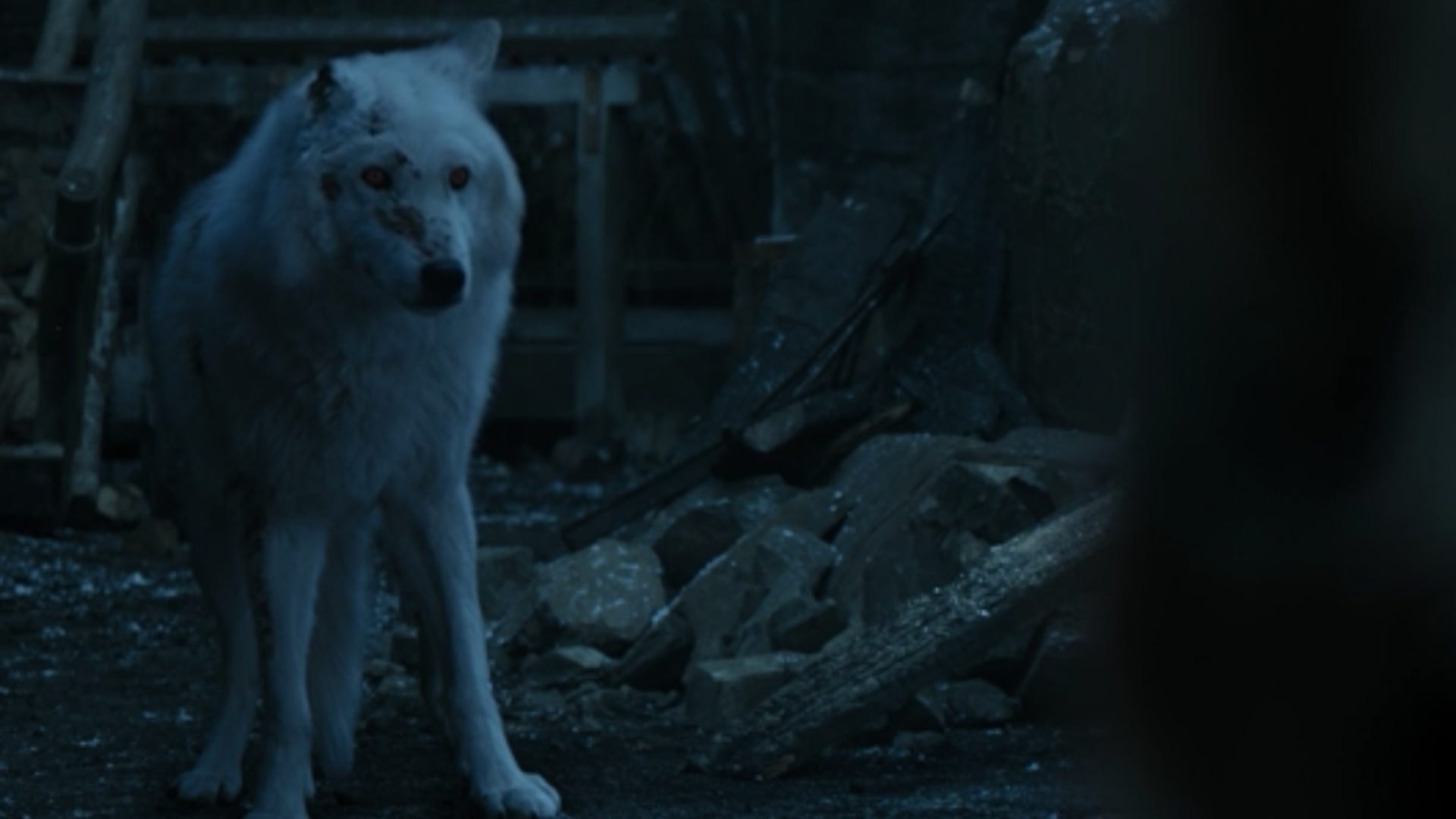 ​Ghost, Game of Thrones