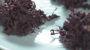 Ellie's Real Good Food, Season 1 Episode 8 image