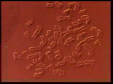 Horizon, Season 19 Episode 1 image