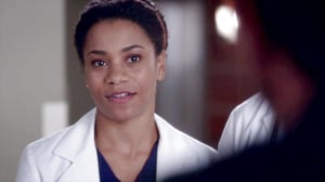 Grey's Anatomy, Season 12 Episode 13 image
