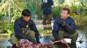 Bones, Season 9 Episode 21 image