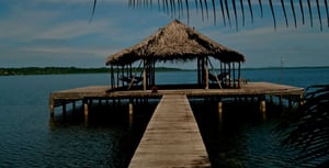 Caribbean Life, Season 12 Episode 7 image