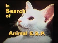 In Search of..., Season 3 Episode 15 image