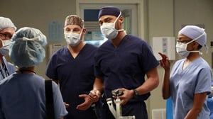 Grey's Anatomy, Season 9 Episode 14 image