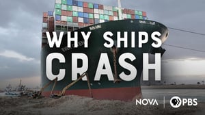 Nova, Season 49 Episode 8 image