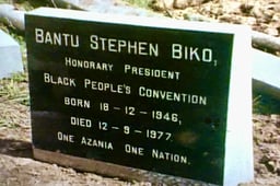 World in Action, Season 14 Episode 2 image