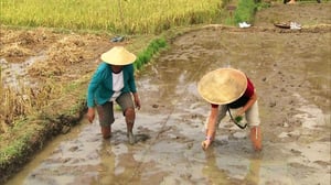 The Amazing Race, Season 19 Episode 3 image