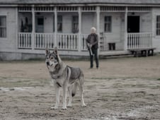 Absentia, Season 3 Episode 6 image