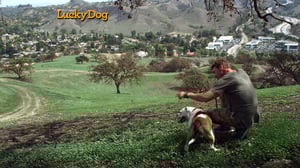 Lucky Dog, Season 1 Episode 25 image