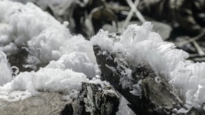 Wildes Deutschland, Season 7 Episode 4 image