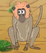Jabu's Jungle, Season 1 Episode 5 image