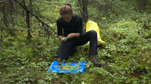 Weird But True, Season 1 Episode 7 image