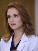 Grey's Anatomy, Season 13 Episode 14 image