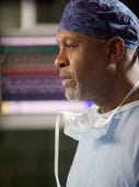 Grey's Anatomy, Season 8 Episode 12 image