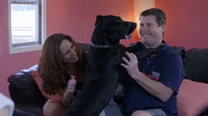 Pit Bulls and Parolees, Season 10 Episode 9 image