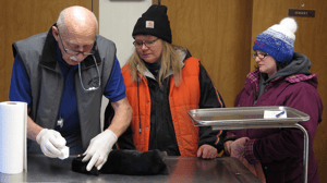 The Incredible Dr. Pol, Season 13 Episode 13 image