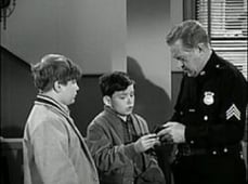 Leave It to Beaver, Season 3 Episode 30 image