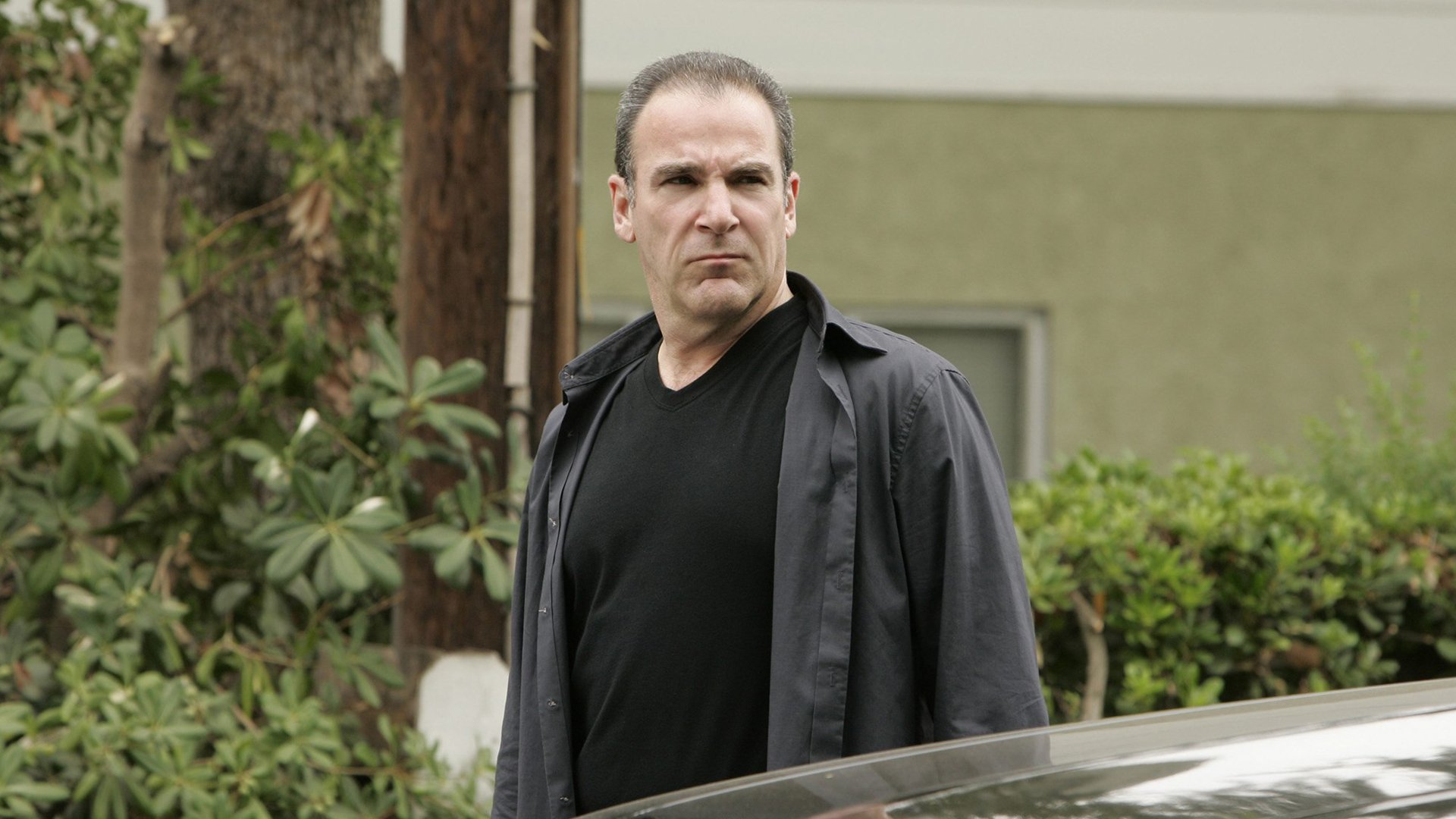 Mandy Patinkin, Criminal Minds