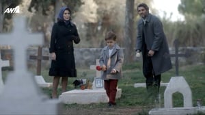 Wild Bees, Season 2 Episode 65 image