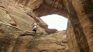 The Amazing Race, Season 8 Episode 8 image