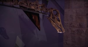 Museum Secrets, Season 1 Episode 3 image