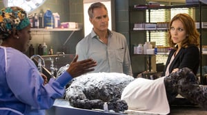 NCIS: New Orleans, Season 2 Episode 5 image