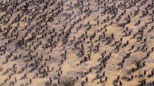 Our Planet, Season 2 Episode 1 image