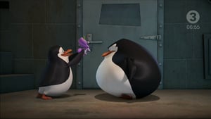 The Penguins of Madagascar, Season 3 Episode 4 image