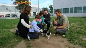 Lucky Dog, Season 1 Episode 19 image