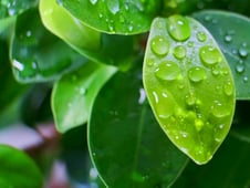 Independent Lens, Season 23 Episode 12 image