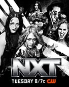 WWE Raw, Season 18 Episode 43 image