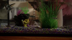 Finally Caught, Season 1 Episode 25 image