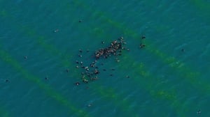 Blue Planet II, Season 1 Episode 5 image