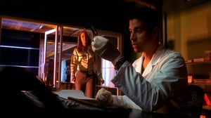 CSI: Miami, Season 4 Episode 9 image