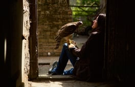 Natural World, Season 36 Episode 7 image