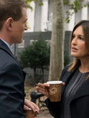 Law & Order: Special Victims Unit, Season 20 Episode 8 image