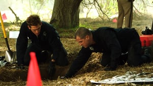 CSI: Crime Scene Investigation, Season 13 Episode 12 image