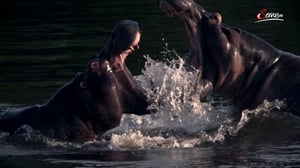 Terra Mater, Season 1 Episode 321 image