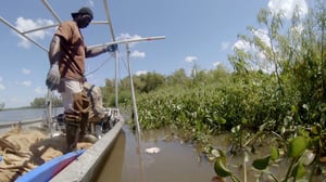 Swamp People, Season 8 Episode 6 image