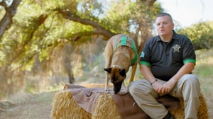 America's Top Dog, Season 1 Episode 6 image