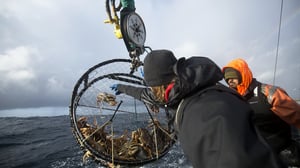 Deadliest Catch: Dungeon Cove, Season 1 Episode 5 image