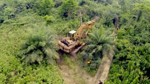 Jungle Gold, Season 2 Episode 2 image