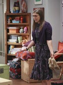 The Big Bang Theory, Season 9 Episode 5 image