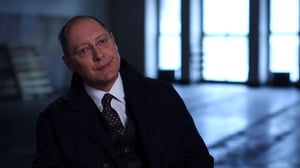 The Blacklist, Season 2 Episode 22 image