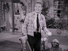 The Adventures of Ozzie and Harriet, Season 4 Episode 9 image