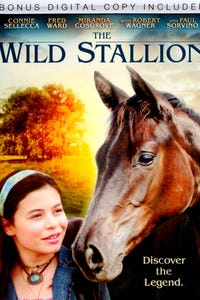 The Wild Stallion as Frank